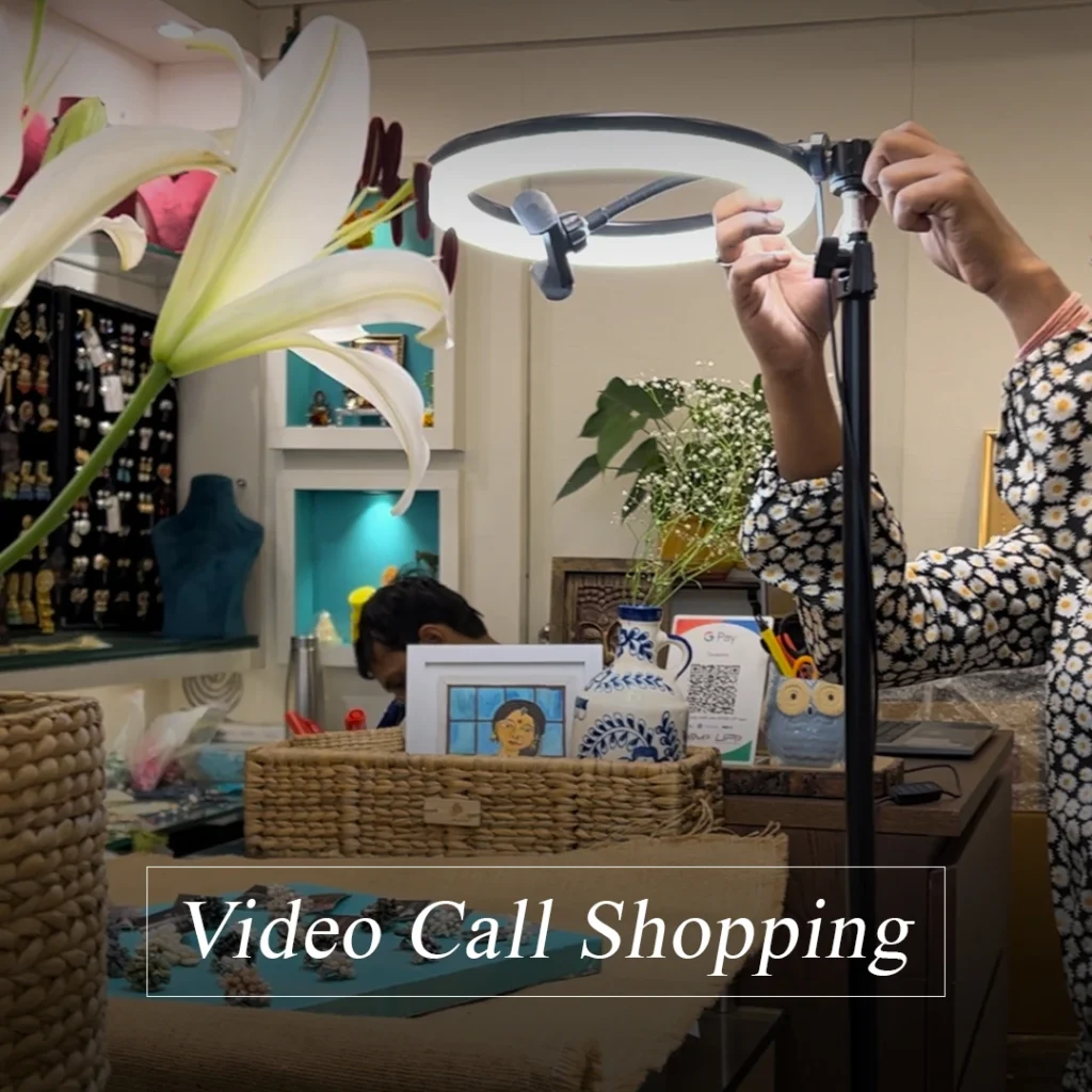 Video Call Shopping 2